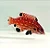 Diana's Hogfish - Imagem 1