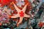 Marble Spotted Starfish - Imagem 1