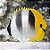 Double Saddleback Butterfly - Imagem 1
