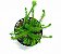 Mayaca fluviatilis - Imagem 1