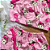Conjunto Cropped e Shorts Bebê Rosa tamanho 9 a 12 meses - Imagem 2