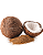 Açúcar de Coco Natural (500g) - Imagem 1