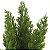 Galho de Pinheiro Artificial Complemento Verde x13 44 cm - Imagem 5