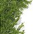 Pendente Cedrinho Verde 54cm 6516 - Imagem 7