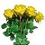 Haste Botão Rosa X9 Micro Amarelo 50cm - Imagem 3