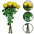 Haste Botão Rosa X9 Micro Amarelo 50cm - Imagem 6