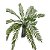 Samambaia Artificial 13 Galhos Verde 49cm Folhagem Decoração - Imagem 6