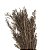 Folhagem Preservada Capim Sereno 130 cm - Imagem 5