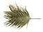 Folhagem Preservada Areca Natural 65cm - Imagem 1