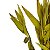 Folhagem Preservada Andrequice Amarelo 60cm - Imagem 5