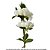 HASTE DE  PEONIA BRANCO X3 61CM - Imagem 3