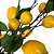 Galho Mini Limão Siciliano x10 Amarelo 100cm - Imagem 9