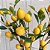 Galho Mini Limão Siciliano x10 Amarelo 100cm - Imagem 3