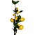 Galho Mini Limão Siciliano x10 Amarelo 100cm - Imagem 5