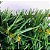 GUIRLANDA NATALINO VERDE 60CM 180 GALHOS - Imagem 7