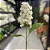 HASTE DE DELPHINIUM TOQUE REAL BRANCO 64CM - Imagem 5