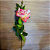 HASTE BOTÃO DE ROSAS 66CM ROSA - Imagem 6