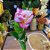 HASTE BOTÃO DE ROSAS 66CM ROSA - Imagem 5