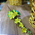 HASTE FLOR DE JASMIN AMARELO 78CM - Imagem 6
