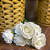 BUQUÊ DE ROSAS X7 BRANCA 35CM - Imagem 2