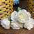 BUQUÊ DE ROSAS X7 BRANCA 35CM - Imagem 6