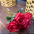 BUQUÊ DE  ROSAS X7 VERMELHO 35CM - Imagem 1