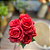 BUQUÊ DE  ROSAS X7 VERMELHO 35CM - Imagem 6
