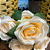BUQUÊ DE ROSA X7 CREME 35CM - Imagem 5