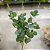 BUQUÊ DE EUCALIPTO VERDE ESCURO X7 63CM - Imagem 2