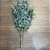 BUQUÊ DE EUCALIPTO VERDE X10 59CM - Imagem 7