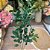HASTE FOLHA DE FICUS X5 VERDE 100CM - Imagem 2