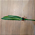 FOLHA DE ORQUÍDEA CYMBIDIUM X5 VERDE 40CM - Imagem 3