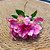 GALHO DE ASTROMELIA PINK 60CM - Imagem 2
