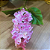 HASTE DE DELPHINIUM TOQUE REAL ROSA 64CM - Imagem 5
