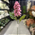 HASTE DE DELPHINIUM TOQUE REAL ROSA 64CM - Imagem 2