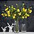 Galho Mini Limão Siciliano x8 Amarelo 93 cm - Imagem 3