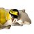 Escultura Decorativa de Resina Urso com Menina Dormindo Branco e Amarelo 20,5x15x12 cm - Imagem 4