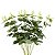 Buquê Pick Eucalipto x150 55 cm - Imagem 3