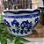 BACIA CERÂMICA ESTAMPA AZUL G 15X25CM - Imagem 5