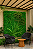 KIT PLACA DE GRAMA C/ EUCALIPTO 1m² - Imagem 4