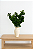 BUQUÊ FOLHAGEM BUXUS VERDE 37CM - Imagem 1