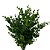 GALHO DE EUCALIPTO ARTIFICIAL VERDE X9 43CM - Imagem 3