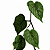 PENDENTE BEGÔNIA VERDE X25 126CM - Imagem 2