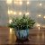 ARRANJO CACHEPOT CIMENTO CHAPISCADO BRANCO 8X6 C/ PICK DIPSACUS - Imagem 4