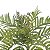 Folhagem Samambaia com Print x13 Verde 40 cm - Imagem 5