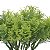Folhagem Pick Grass Plt x5 Verde 20 cm - Imagem 3