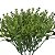Folhagem Pick Grass com Print PLT x10 Verde 24 cm - Imagem 2