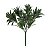 Folhagem Podocarpus com Powder Verde x5 25 cm - Imagem 1