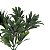 Folhagem Podocarpus com Powder Verde x5 25 cm - Imagem 3