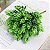 Folhagem Artificial Pick Grass C/Powder X5 Verde 22cm com 6 Hastes - Imagem 4